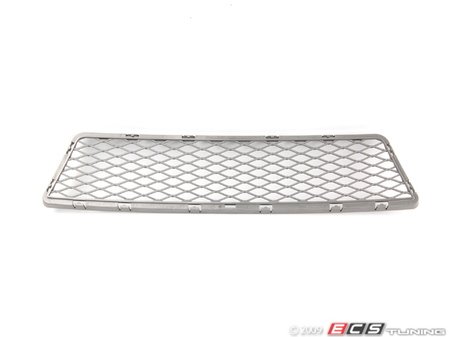 ES#74750 - 51117175298 - Bumper Grill - Center - Replacement for the center portion of your lower bumper trim - Genuine BMW - BMW