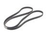 ES#2771273 - 0079978292 - Multi-Rib Accessory Belt - 21.36x2245mm - Continental - Mercedes Benz