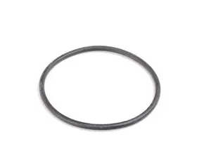 Thermostat Gasket