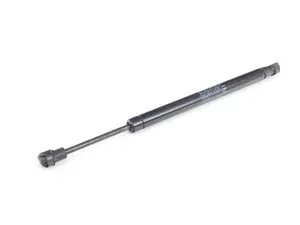 Trunk Strut