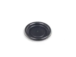Windshield Washer Fluid Reservoir Plug