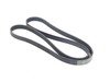 ES#2804874 - 037145933C - Conti V-Ribbed Belt - Drives the alternator and supercharger - Continental - Volkswagen