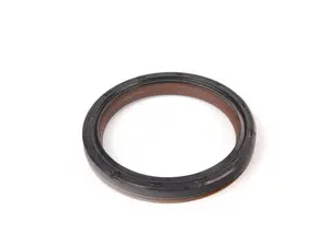 Timing Case seal