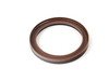 ES#19420 - 11142249534 - Timing Case seal - Presses into the timing case to prevent oil leaks - Genuine BMW - BMW