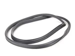 Windshield Seal
