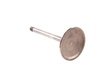 ES#1892321 - 078109601E - Intake Valve - Priced Each - Standard replacement intake valve - AE - Audi Volkswagen