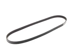 Accessory Belt