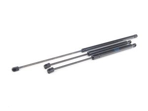 ES#2762295 - 4B0823359CKT3 - Hood & Hatch Strut Kit - Keep the hood and hatch propped in place with new struts - Assembled By ECS - Audi