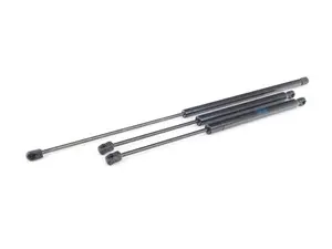 Hood & Hatch Strut Kit