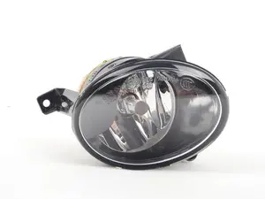 Fog Light Assembly - Right