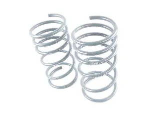OE Sport Spring Set