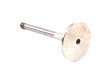 ES#252504 - 048109611B - Exhaust Valve - Priced Each - Standard replacement exhaust valve - AE - Volkswagen