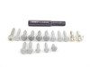 ES#2779818 - N91060202KT1 - Clutch Installation Kit - Everything you need for a quick and easy install - Assembled By ECS - Volkswagen