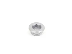 Differential Oil Drain Plug 