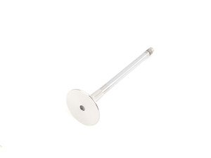 ES#2802811 - 11341739823 - Exhaust Valve - Priced Each - Replacement exhaust valve - Rein - BMW