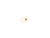 ES#2674204 - 51188242693 - Plug-In Nut - Priced Each - Used to secure the rear license plate bracket - Genuine MINI - MINI