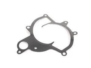 Water Pump Gasket