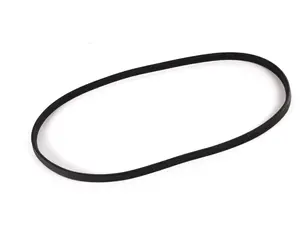Headlight Gasket - Priced Each