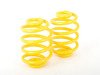 ES#2649677 - 80104 - Sporttech Lowering Kit - (NO LONGER AVAILABLE) - Average lowering of 1.4"F and 1.4"R - Suspension Techniques - 