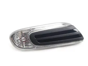 Side Turn Signal - right