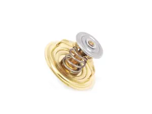 Thermostat - 80�C
