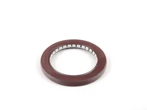 Radial Shaft seal