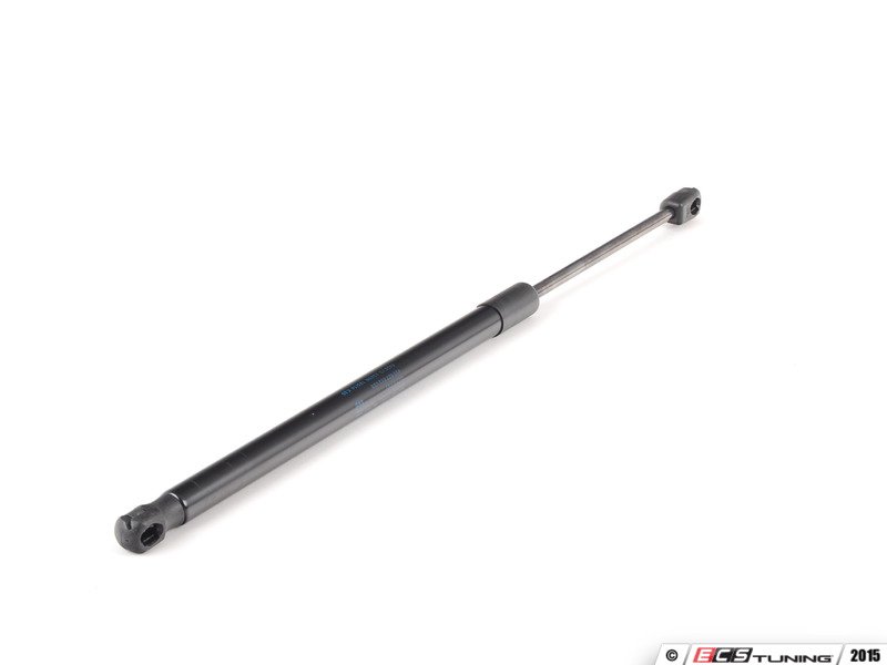 Genuine Volkswagen Audi - 420827552 - GASFILSTRU (420 827 552)
