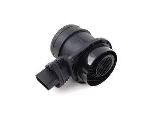 Mass Air Flow Sensor (MAF)
