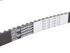 ES#2800512 - 054109119H - Timing Belt - The most important belt on your engine - Continental - Audi