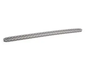 Lower Engine Timing Chain