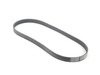 ES#2800612 - 11287618848 - Accessory Belt - Alternator / AC Belt - Continental - BMW Volkswagen