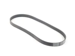 Accessory Belt