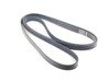 ES#2800691 - 077903137Q - Accessory Belt - Keep all of your accessories running efficiently - Continental - Audi