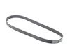 ES#2800612 - 11287618848 - Accessory Belt - Alternator / AC Belt - Continental - BMW Volkswagen