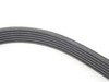 ES#2800612 - 11287618848 - Accessory Belt - Alternator / AC Belt - Continental - BMW Volkswagen