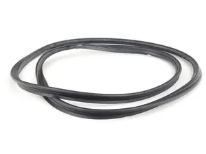 Trunk Seal