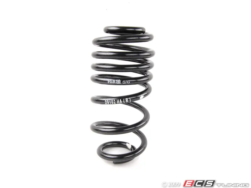 TT8J H&R ローダウンスプリング 29102-2 H&R - 29102-2 - Sport Springs Set