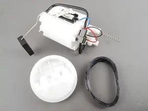 Fuel Pump Assembly 