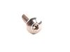 ES#1899272 - 92095A240 - 'Slim Line' Stainless License Plate Bolt - 6x20mm - Priced Each - Rounded head slim bolt for that clean look on your plates - ECS - Audi Volkswagen