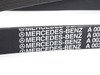 ES#2610386 - 0039937296 -  Multi-Rib Accessory Belt - 21.36x2401 - Genuine Mercedes Benz - Mercedes Benz