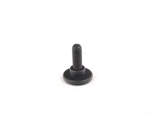 Torx Bolt