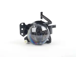 E46 Fog Lamp Assembly - Right