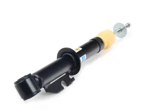 B4 Strut Assembly Rear - Priced Each