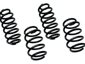 ES#2825937 - 55.02.65 - Sport Springs Set - Upgrade looks and handling with sport springs - Neuspeed - Audi