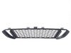 ES#2727913 - 51118055434 - Front bumper lower grille - Mounted in the front bumper - Genuine BMW - BMW
