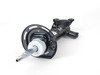 ES#1738047 - 2043231000 - Front Shock Absorber - Right - Front Axle, Right Side - Genuine Mercedes Benz - Mercedes Benz