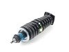 ES#2678584 - 41-173435 - Hydro-Pneumatic Shock Assembly - Priced Each - Complete Assemble, Ready To Install - Fits Left Or Right Side - Includes New Spring - Bilstein - Mercedes Benz