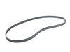 ES#2581914 - OEN54TMGKT - Timing Chain Kit - Everything you need to do a complete timing chain service using genuine BMW components - Genuine BMW - BMW