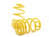 ES#2806988 - 66209 - ST Sport Spring Set - Average lowering front: 1.2" rear: 1.2" - Suspension Techniques - Volkswagen