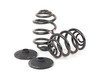 ES#59033 - 33539058926 - E30 Rear Coil Spring Set - Replace your cracked springs - Genuine BMW - BMW